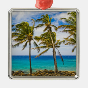 Kokospalmbomen (Cocos nucifera) wiegen in Metalen Ornament