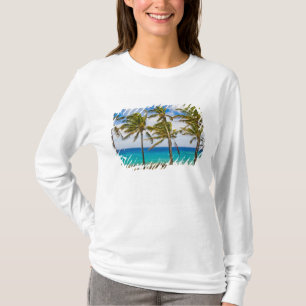 Kokospalmbomen (Cocos nucifera) wiegen in T-shirt