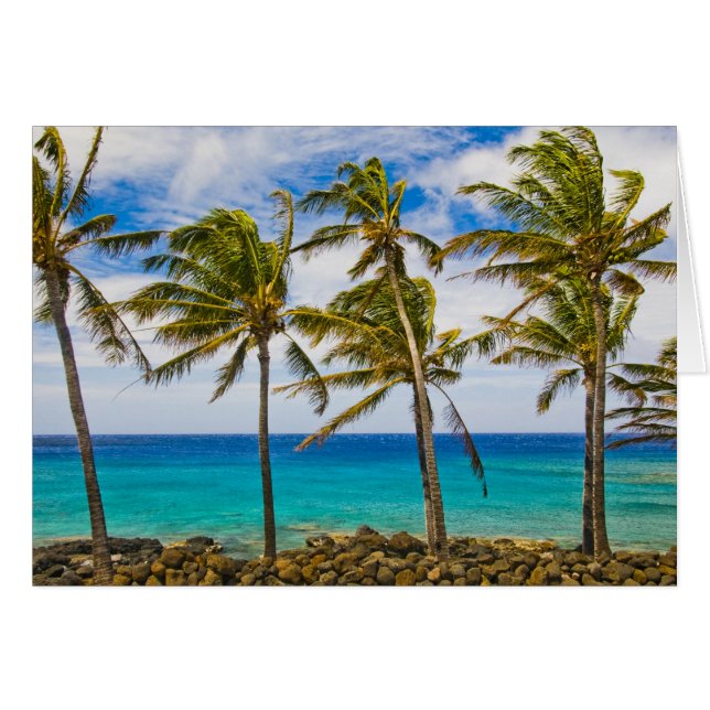 Kokospalmbomen (Cocos nucifera) zwaaiend in (Voorkant Horizontaal)