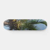Kokospalmboom Skateboard (Horizontaal)