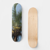 Kokospalmboom Skateboard (Voorkant)