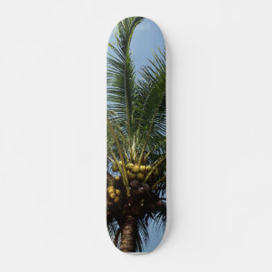 Kokospalmboom Skateboard
