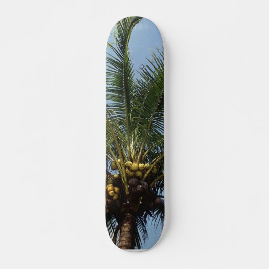 Kokospalmboom Skateboard (Voorkant)