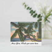 Kokospalmen op de Kust van Florida van het Briefkaart (Staand voorkant)