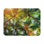 Kokospalmen op de strand magneet (Horizontaal)