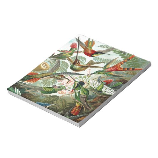 Kolanibrieparadijs kunst notitieblok (Gedraaid)