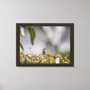 Kolibrie 3346 canvas afdruk