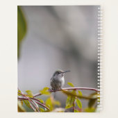 Kolibrie 3346 planner (Achterkant)