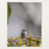 Kolibrie 3346 planner (Voorkant)