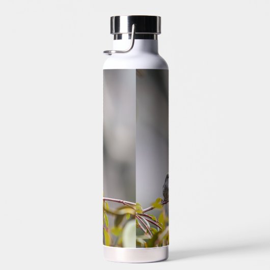 Kolibrie 3346 waterfles (Rechts)