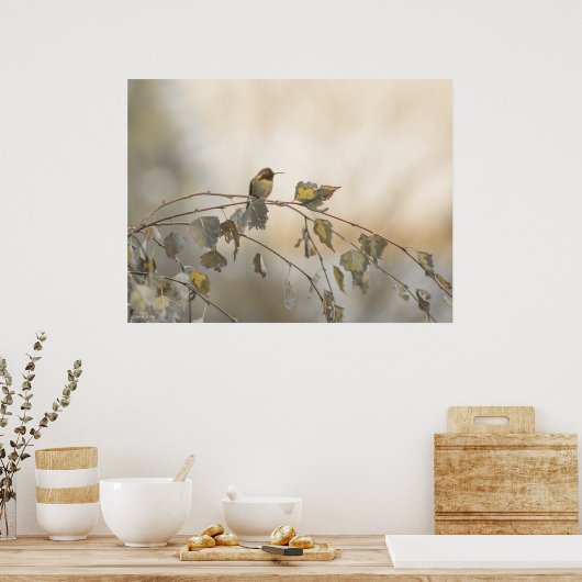 Kolibrie 5265 poster (Keuken)