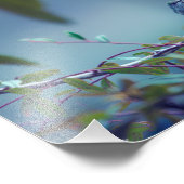 Kolibrie 5738 foto afdruk (Hoek)