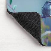 Kolibrie 5738 muismat (Hoek)