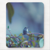 Kolibrie 5738 muismat (Voorkant)