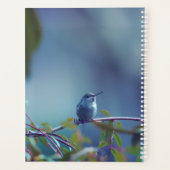 Kolibrie 5738 planner (Achterkant)