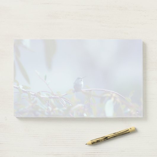 Kolibrie 5738 post-it® notes (Op bureau)