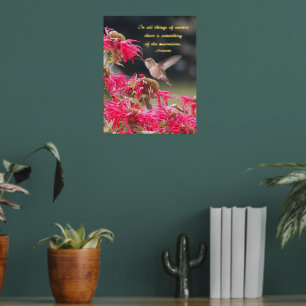 Kolibrie Aristoteles Philosophical Quote Folie Afdrukken