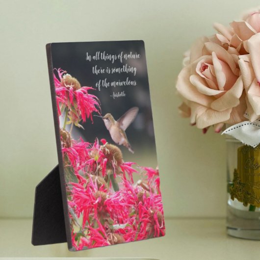 Kolibrie Aristoteles Philosophical Quote Fotoplaat