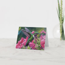 Kolibrie bezoekt mijn mand met bloemen