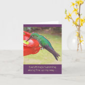 KOLIBRIE BIJ FEEDER / DINGEN KOLKEN MEE KAART (Gele Bloem)