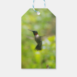 Kolibrie cadeau label cadeaulabel