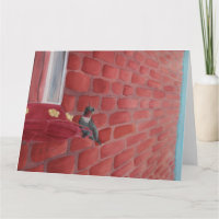Kolibrie door een bakstenen muur: Kaart 8,5 "x11"