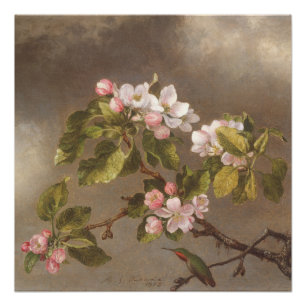 Kolibrie en appelbloesems 1875 Poster Perfect Poster