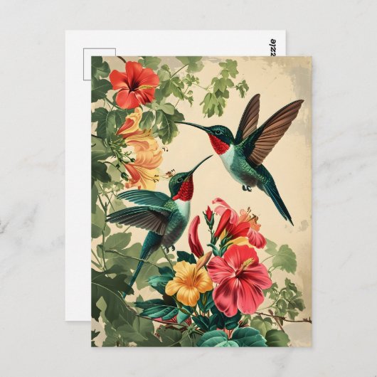 Kolibrie en bloemen: Briefkaart (Voorkant / Achterkant)