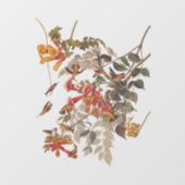 Kolibrie en bloemen van Audubon Raamsticker (Vel)