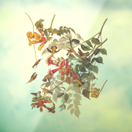 Kolibrie en bloemen van Audubon Raamsticker (Vel 3)