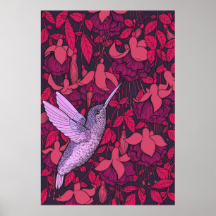 Kolibrie en fuchsia paars poster
