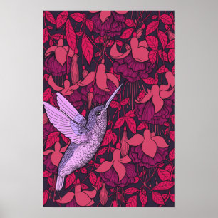 Kolibrie en fuchsia paars poster
