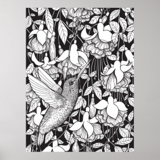 Kolibrie en fuchsia poster