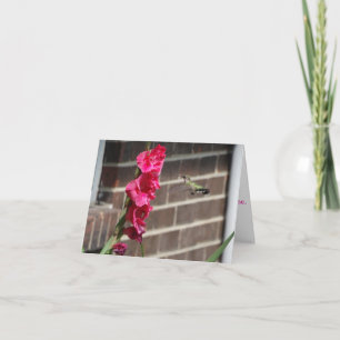 Kolibrie en Gladiola Bloem Kaart
