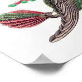  kolibrie illustratie poster (Hoek)