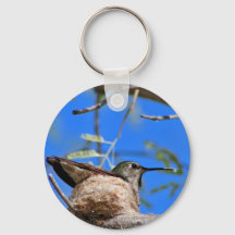 Kolibrie in een nest sleutelhanger
