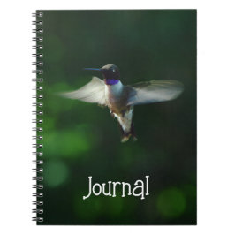  kolibrie in Flight Journal Notitieboek