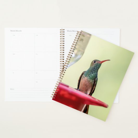 Kolibrie in Texas 2024 Planner (Display)