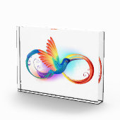 Kolibrie met oneindigheidssymbool fotoblokken (Rechts)