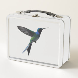 Kolibrie Minimalist