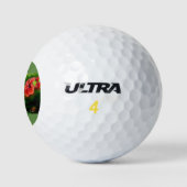 Kolibrie op een golfbal golfballen (Logo)