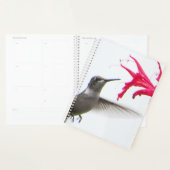 Kolibrie op Monarda Planner (Display)