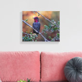 kolibrie op zonsondergang canvas afdruk (Insitu (Woonkamer))