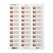 Kolibrie, Rozen en vlinders Etiket (Full Sheet)