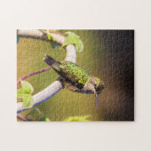 Kolibrie rust op een latwerk legpuzzel (Horizontaal)