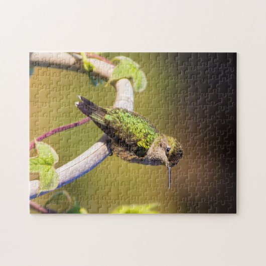 Kolibrie rust op een latwerk legpuzzel (Horizontaal)