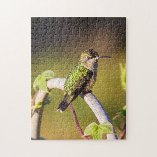 Kolibrie rust op een latwerk legpuzzel (Verticaal)