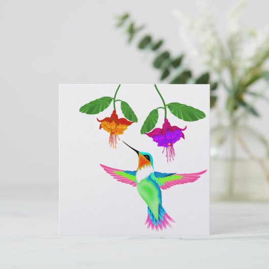 Kolibrie - SRF Kaart (Staand voorkant)