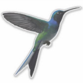 Kolibrie Sticker (Voorkant)