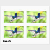 Kolibrie stickers (Vel)